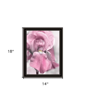 Homeroots Pink Iris Framed Print Wall Art - Trendy Rustic Decor For Modern Farmhouse Style Spaces Black And Gold Wood 530022
