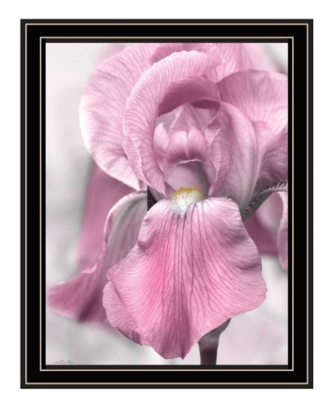 Homeroots Pink Iris Framed Print Wall Art - Trendy Rustic Decor For Modern Farmhouse Style Spaces Black And Gold Wood 530022