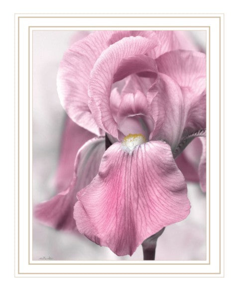 Homeroots Pink Iris Framed Print Wall Art - Trendy Rustic Decor For Modern Farmhouse Style Spaces White Wood 530023