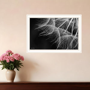 Homeroots Delicate Beauty White Framed Print Wall Art White Wood 530165