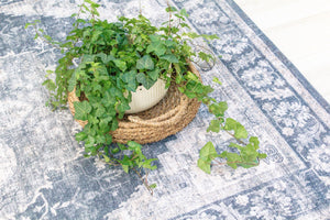 Homeroots 5' X 8' Black And Gray Oriental Area Rug  Polyester 530568