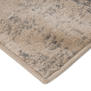 HomeRoots 10' Gray and Sand Abstract Area Rug - Stylish, Durable, and Stain-Resistant for Busy Homes 6' X 9' 531718