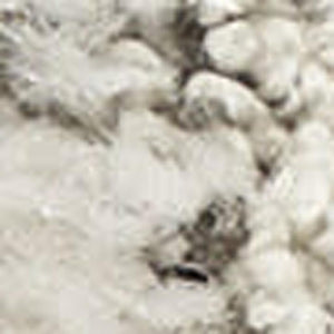 HomeRoots 5' Gray Abstract Area Rug - Scandinavian-Inspired, Durable, Modern Design Perfect for Any Room 6' X 9' 533409