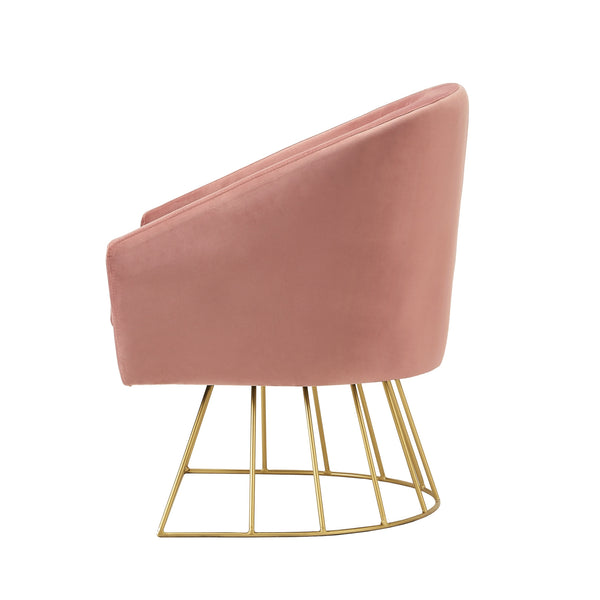 Homeroots 29" Blush And Gold Velvet Barrel Chair   533848