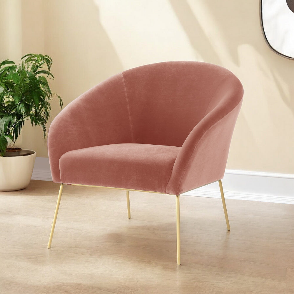 Homeroots 31" Blush And Gold Velvet Barrel Chair   534131