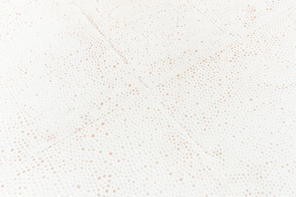 Sarreid Shagreen Console Table - Elegant Osprey White Finish With Durable Iron And Leather Design White  53566-4