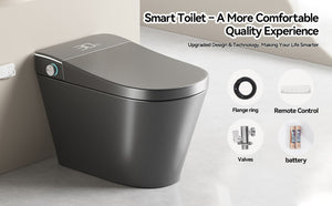 English Elm Unique Intelligent One-piece Toilet with Integrated Bidet Heated Seat and Auto Lid Grey W3133P414566