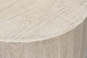 Sarreid Stanford End Table - Elegant Bone Finish With Durable Powder Coated Base, Mango Wood & Metal Design Beige  53938