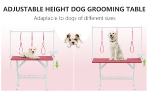 English Elm 47'' Foldable Dog Grooming Table X-lift Adjustable Height Station with Arm Noose Organizer Pink W3587P358729