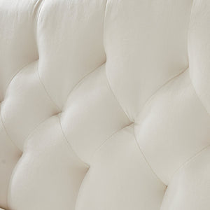 English Elm CREAM Velvet 2-Seater Sofa with Gold Metal Legs, Foam Cushion Comfort, Solid Wood Frame, Compact Luxury W588P165684