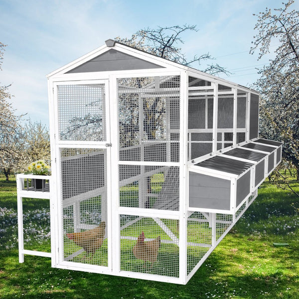English Elm Chicken Coop Walk-in Cedar Structure with Nesting Boxes for Backyard Flocks W1850S00009