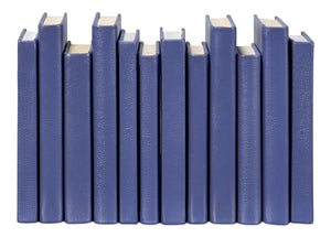 Sarreid Shagreen Books Set Of 12 - Elegant Marlin Design In Assorted Sizes, Blue Shagreen Leather Finish Blue  54009-2