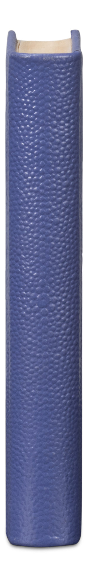 Sarreid Shagreen Books Set Of 12 - Elegant Marlin Design In Assorted Sizes, Blue Shagreen Leather Finish Blue  54009-2