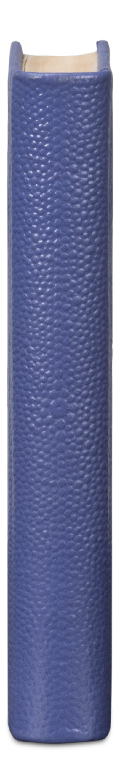 Sarreid Shagreen Books Set Of 12 - Elegant Marlin Design In Assorted Sizes, Blue Shagreen Leather Finish Blue  54009-2