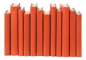 Sarreid Shagreen Books Set Of 12 In Vibrant Orangeade – Stylish Decorative Collection For Home Or Office Orange  54009-6