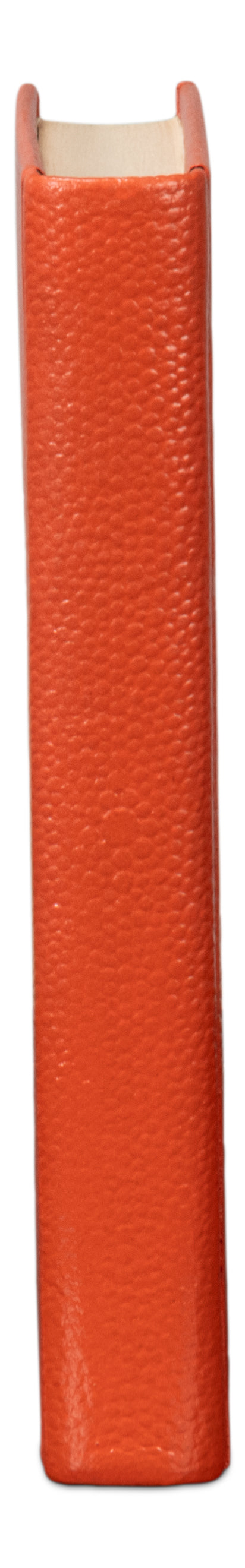 Sarreid Shagreen Books Set Of 12 In Vibrant Orangeade – Stylish Decorative Collection For Home Or Office Orange  54009-6