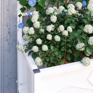 English Elm Outsunny Galvanized Steel Raised Planter with Built-in Trellis for Vertical Garden Growth W2225P485616
