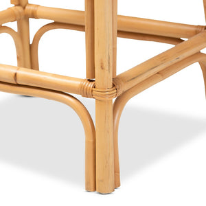 English Elm Modern Rattan Dining Chair Set of Two with Woven Back and Black Iron Base B2750P420426