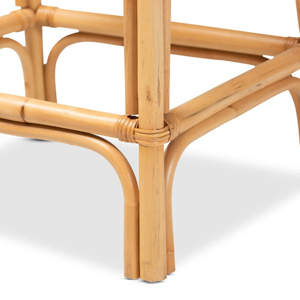 English Elm Modern Rattan Dining Chair Set of Two with Woven Back and Black Iron Base B2750P420426
