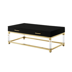 Homeroots 47" Black Gold And Clear Wood Acrylic And Steel Coffee Table Black,Gold  543853