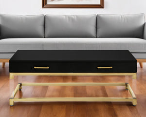 Homeroots 47" Black Gold And Clear Wood Acrylic And Steel Coffee Table Black,Gold  543853