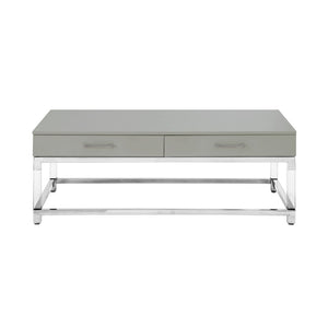 HomeRoots 47" Modern Light Gray Coffee Table with Silver Acrylic Frame & 2 Drawers for Stylish Storage Solutions 543855