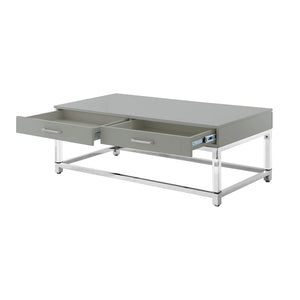 HomeRoots 47" Modern Light Gray Coffee Table with Silver Acrylic Frame & 2 Drawers for Stylish Storage Solutions 543855
