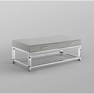 HomeRoots 47" Modern Light Gray Coffee Table with Silver Acrylic Frame & 2 Drawers for Stylish Storage Solutions 543855