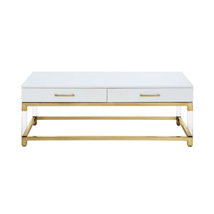 Homeroots 47" White Gold And Clear Wood Acrylic And Steel Coffee Table White,Gold  543857