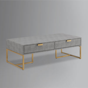 Homeroots 46" Gray And Gold Stainless Steel Coffee Table With Two Drawers Grey,Gold  543872