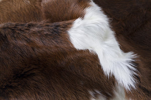 Homeroots 2' X 3' Brown And White Cowhide Hand Tufted Area Rug Purple Cowhide 544292