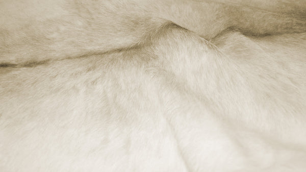 Homeroots 2' X 3' Off White Cowhide Hand Knotted Area Rug Off White Cowhide 544296