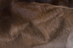 Homeroots 2' X 3' Taupe Genuine Cowhide Hand Knotted Area Rug Brown Cowhide 544297