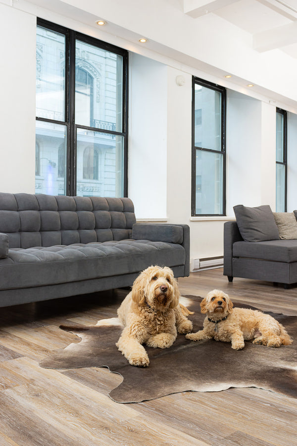 Homeroots 6' X 7' Brown Cowhide Hand Knotted Area Rug Tan Cowhide 544320