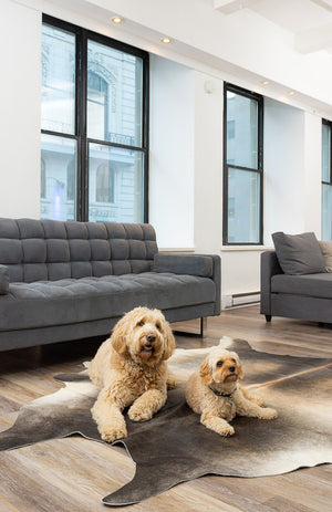 Homeroots 6' X 7' Gray And Ivory Genuine Cowhide Hand Knotted Area Rug Gray Cowhide 544323