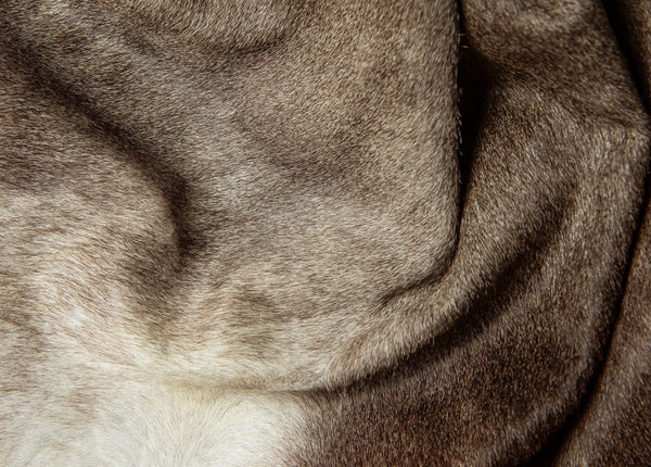 Homeroots 6' X 7' Gray And Ivory Genuine Cowhide Hand Knotted Area Rug Gray Cowhide 544323