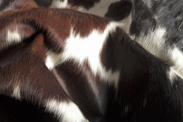 Homeroots 6' X 7' Brown Black And White Cowhide Hand Knotted Area Rug Beige And White Cowhide 544330