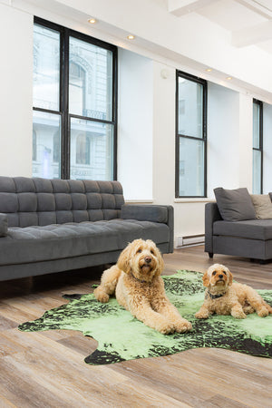 Homeroots 6' X 7' Green And Black Cowhide Hand Knotted Area Rug Lime Green Cowhide 544355