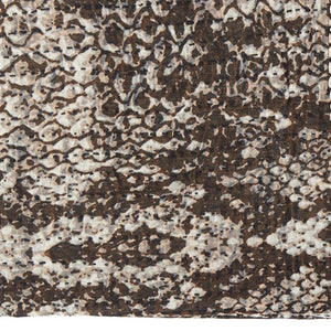 HomeRoots 50" X 70" Artisan Brown & Ivory Kantha Throw Blanket - Handcrafted Cotton with Embroidery Charm 544507