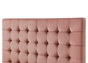 HomeRoots Blush Queen Upholstered Bed with Button-Tufted Headboard and Solid Wood Frame for Stylish Comfort Blush, Velvet 544751