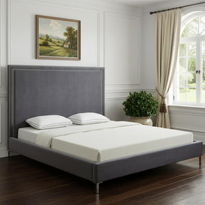 HomeRoots Gray Velvet Queen Bed Frame with Elegant Nailhead Trim, Plush Upholstery & Durable Wood Support 544789