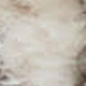 HomeRoots 8' Beige and Gray Medallion Area Rug – Distressed Geometric Design for Stylish Living Spaces 8' Square 545148