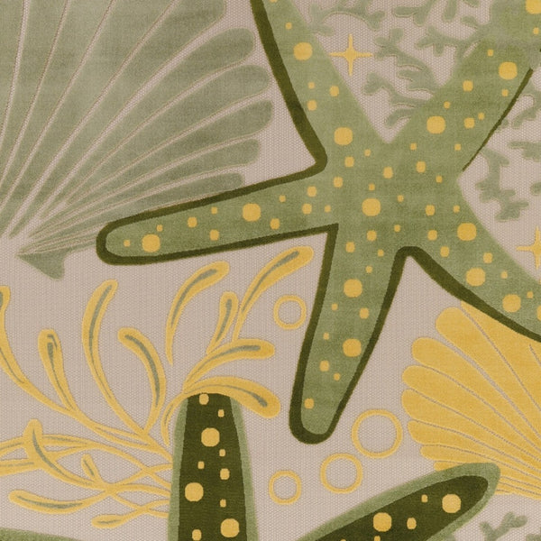 HomeRoots 10' Starfish Indoor/Outdoor Area Rug - Coastal Charm, Durable Design, Stain-Resistant & Easy Care! 548098
