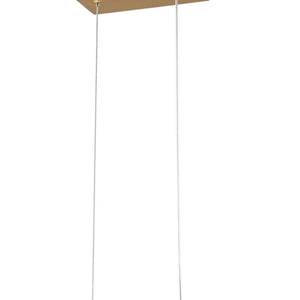 HomeRoots Gold LED Dimmable Chandelier with Modern Clear Metal Accents for Elegant Home Lighting Solutions 548208