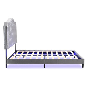 English Elm Upholstered Diamond Button Tufted Platform Bed with Velvet, LED Ambient Lighting, Sturdy Slats Light Gray 65.75 L x 34.43 W x 4.72 H W2297P268386