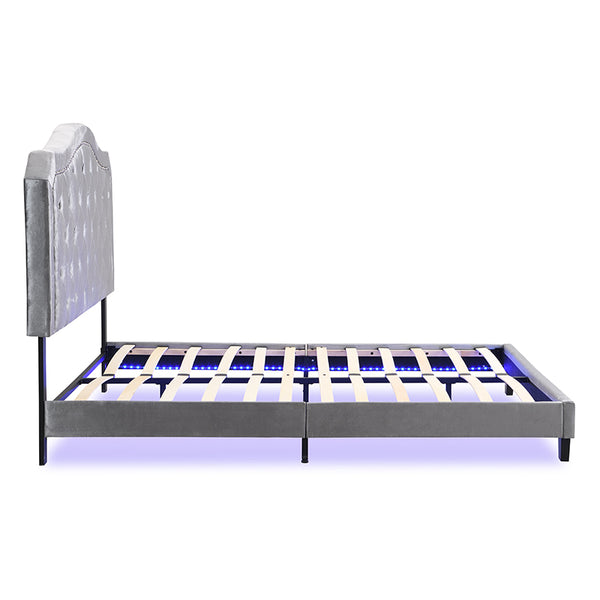 English Elm Upholstered Diamond Button Tufted Platform Bed with Velvet, LED Ambient Lighting, Sturdy Slats Light Gray 65.75 L x 34.43 W x 4.72 H W2297P268386