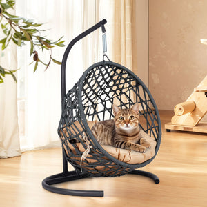 English Elm Cat Swing Bed With Stand & Cushion - Cozy Egg Chair For Cats & Small Pets, Stylish Indoor Retreat W2500P283886