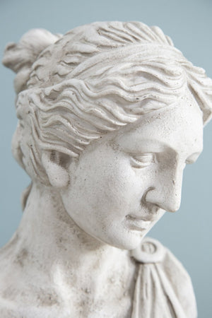 English Elm 10x9x22" Classical Female Bust Magnesium Sculpture Indoor Outdoor Garden Pedestal Accent W2078P494899