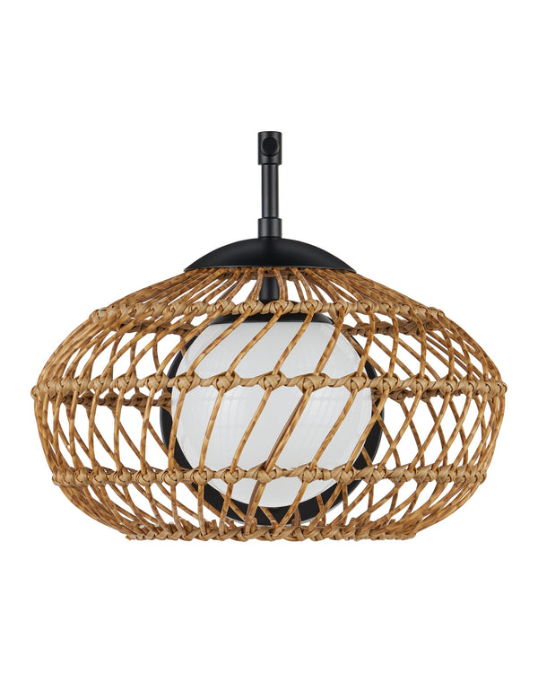 Currey & Company Carriage Outdoor Wall Sconce Wicker Lantern Wet Rated for Porch or Garden Entry 5500-0060