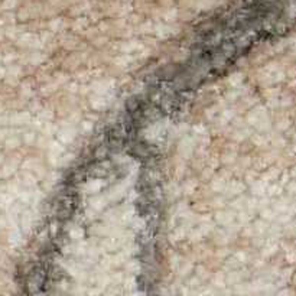 Homeroots 5' X 7' Tan Black And Ivory Damask Non Skid Area Rug  Polyester 550373